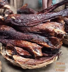 Dried Croaker Fish