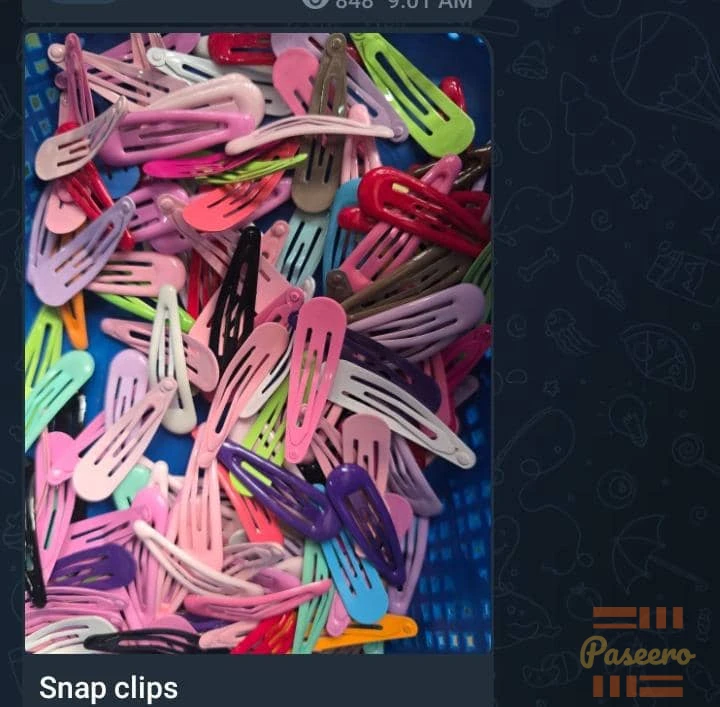 Hairclip2