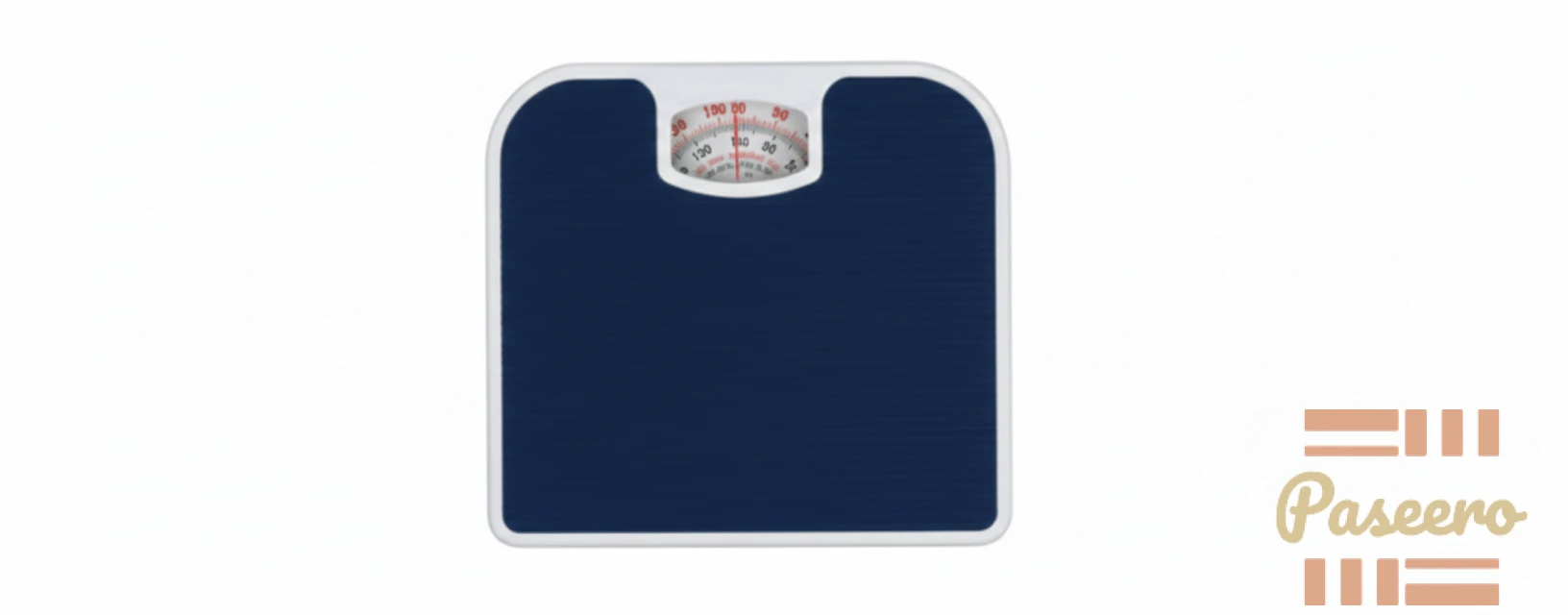 Personal Bathroom Stainless Steel Scale1