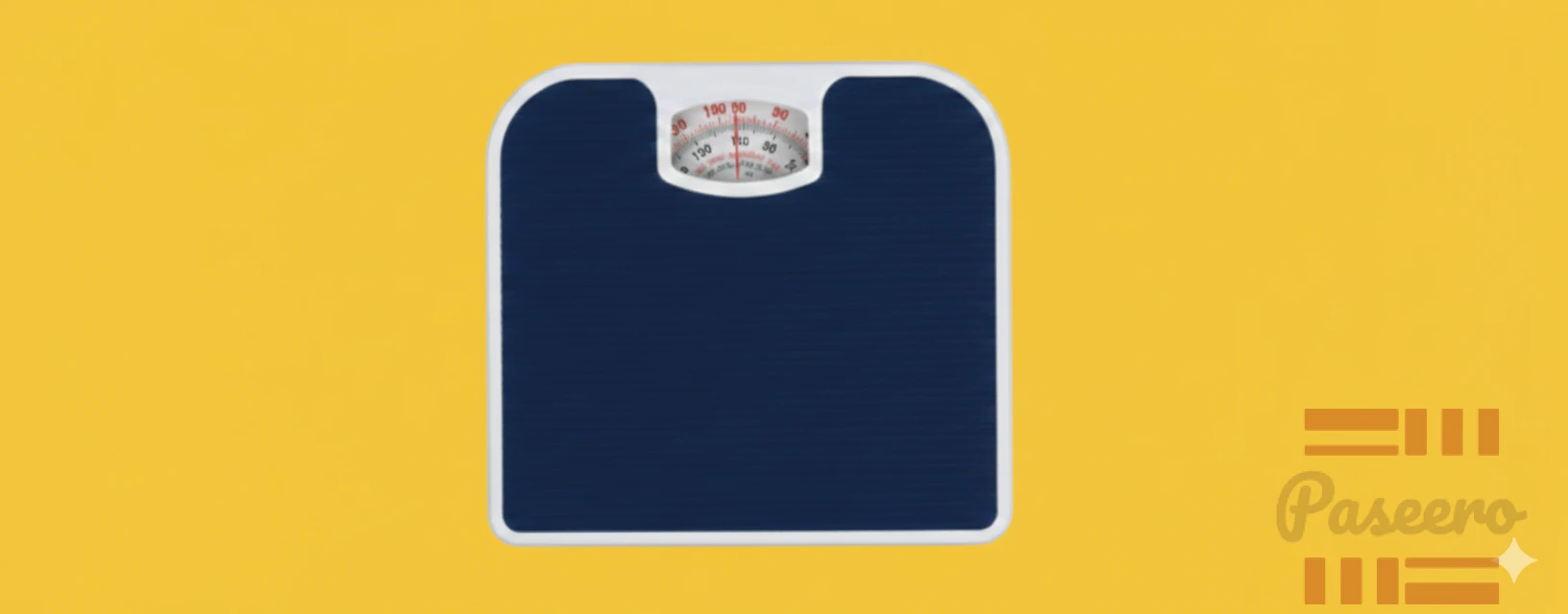 Personal Bathroom Stainless Steel Scale