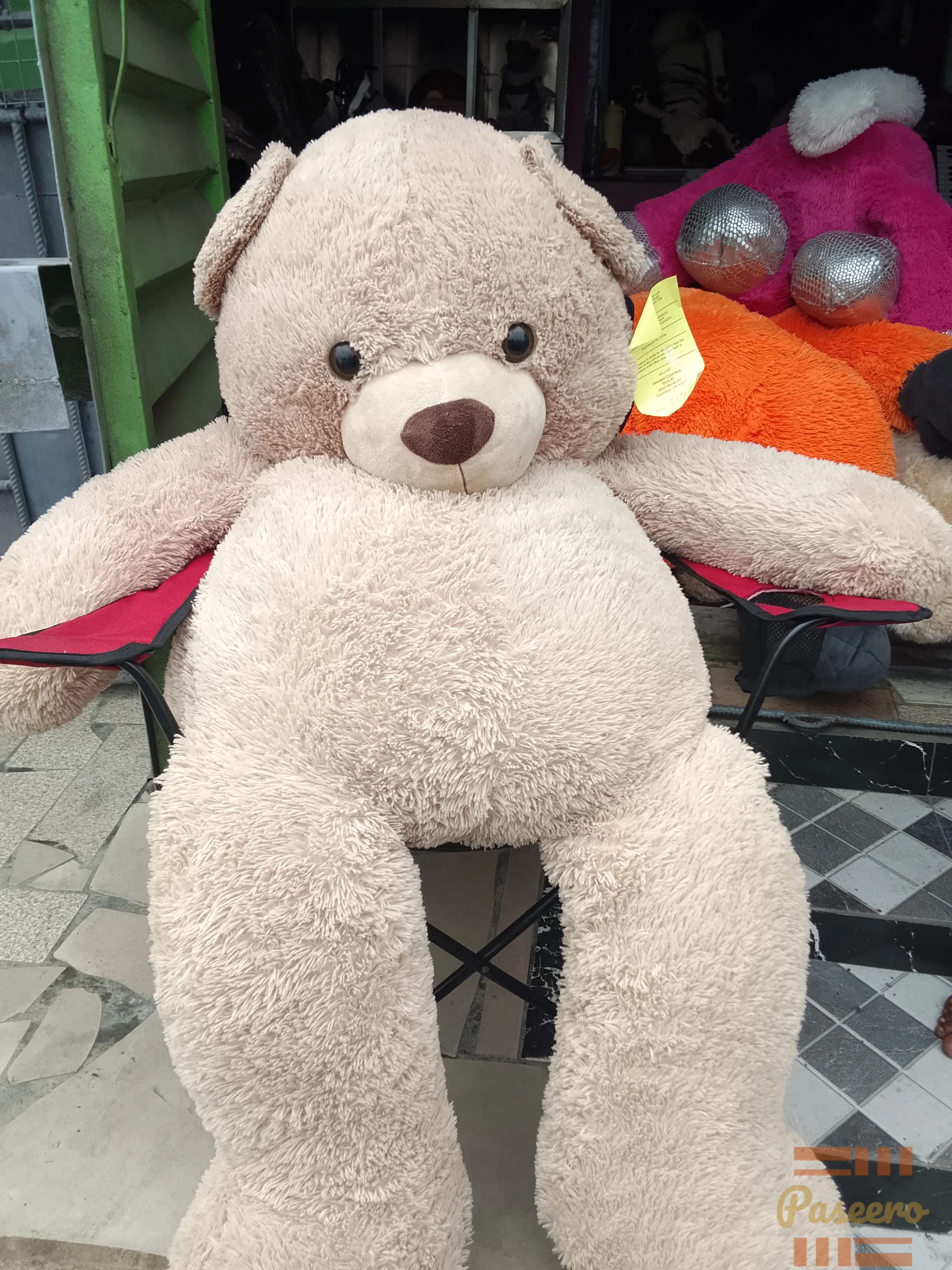 Teddy Bear
