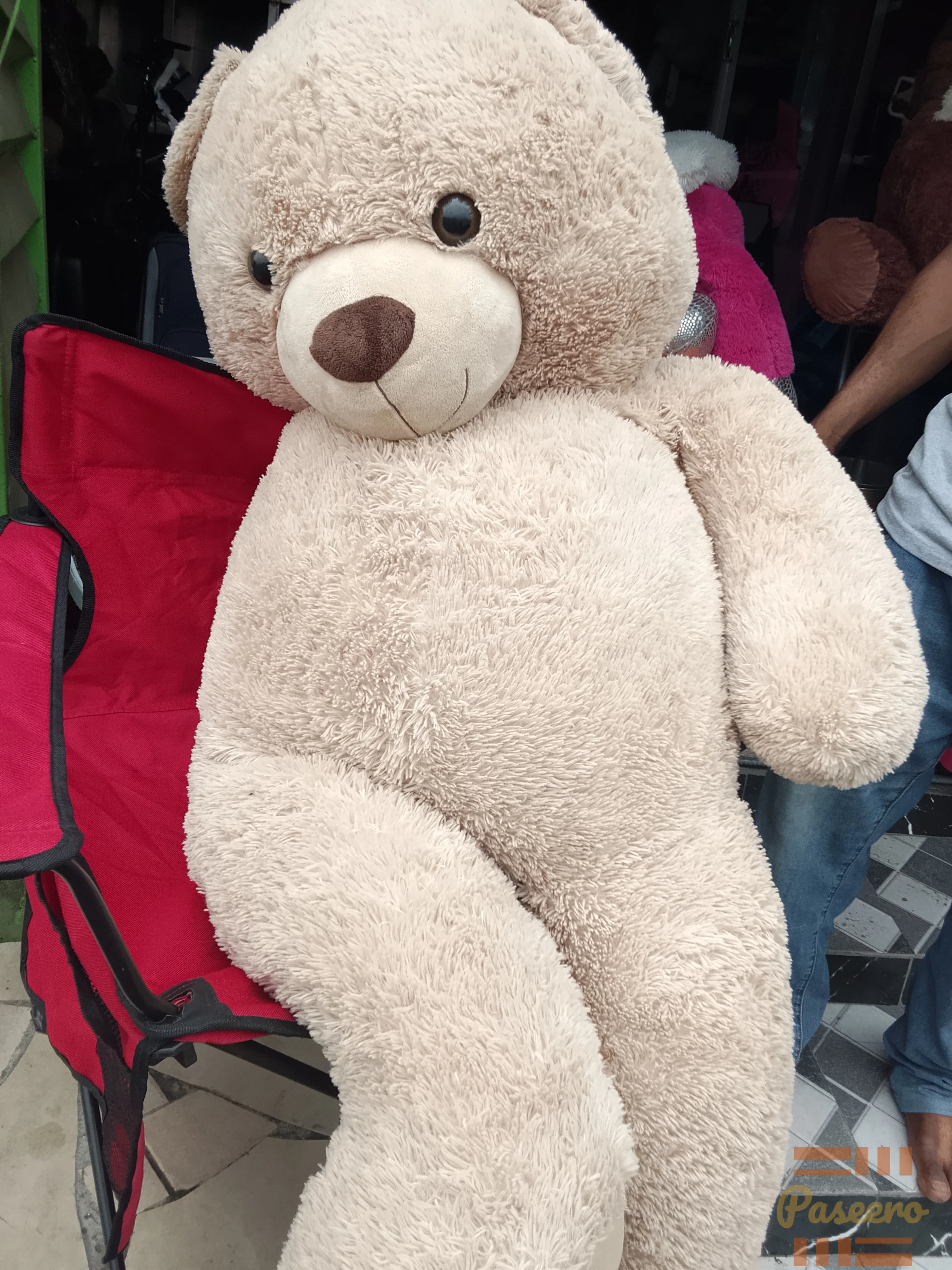 Teddy Bear1