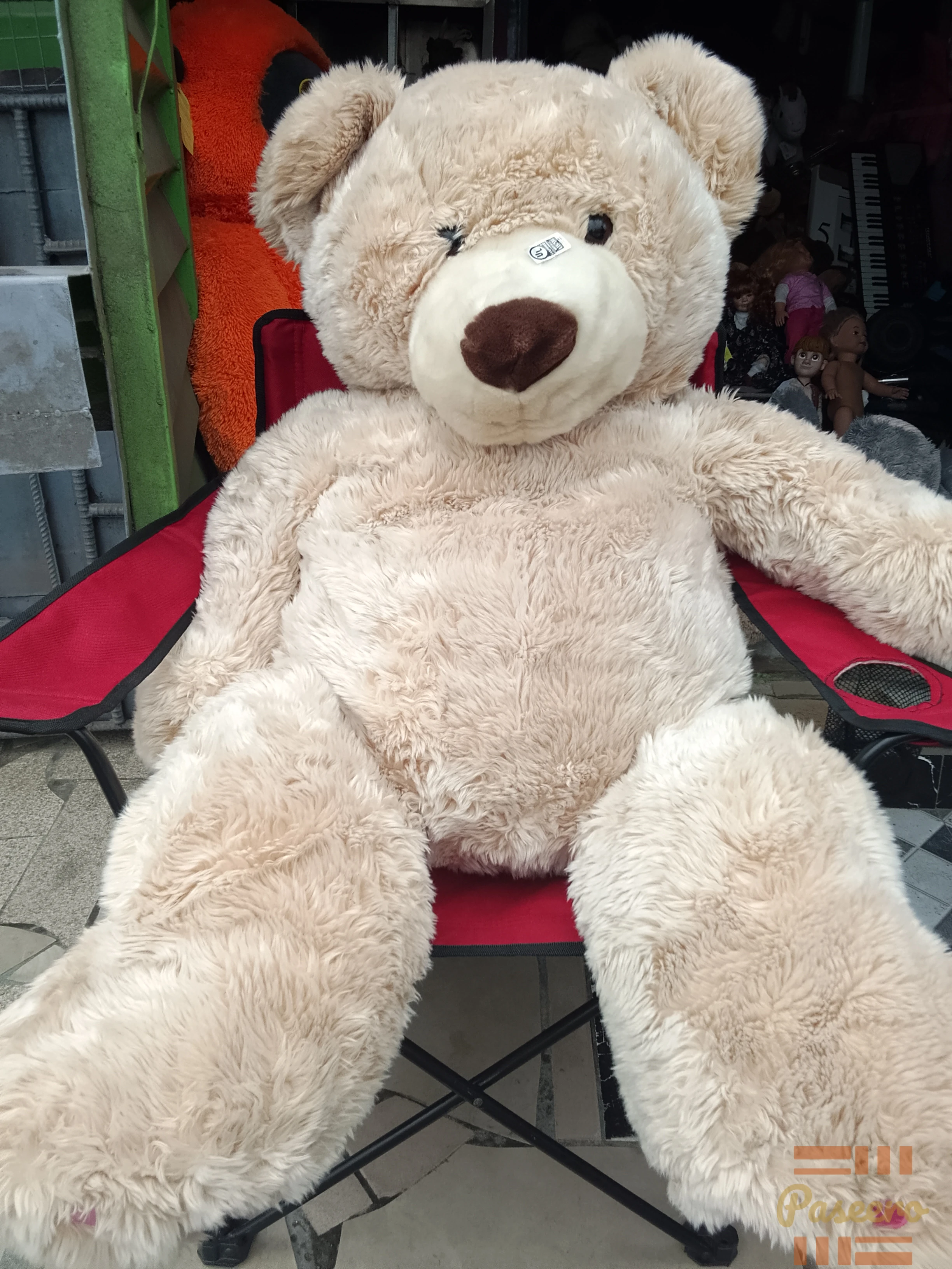 Teddy Bear