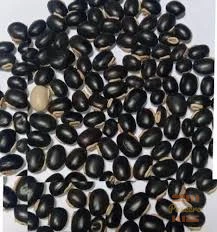 Snake repellant seed2