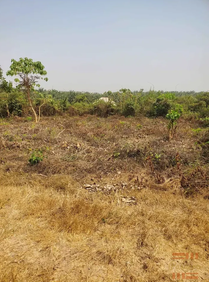 Land2