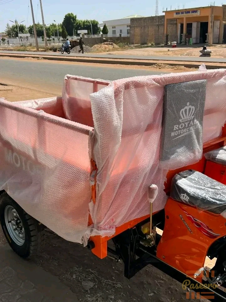 Royal Keke Nappe Tricycle3