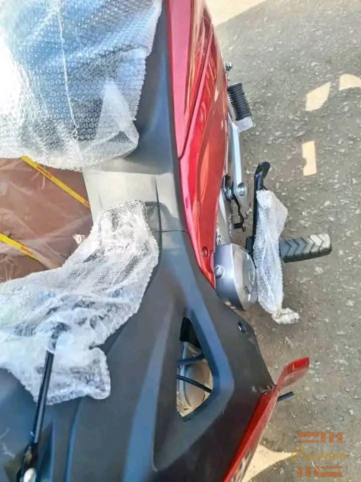 Hajiu UD Lady Bike2