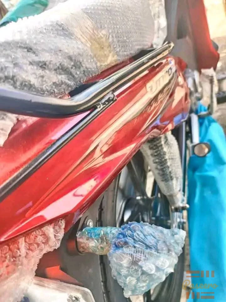 Hajiu UD Lady Bike1