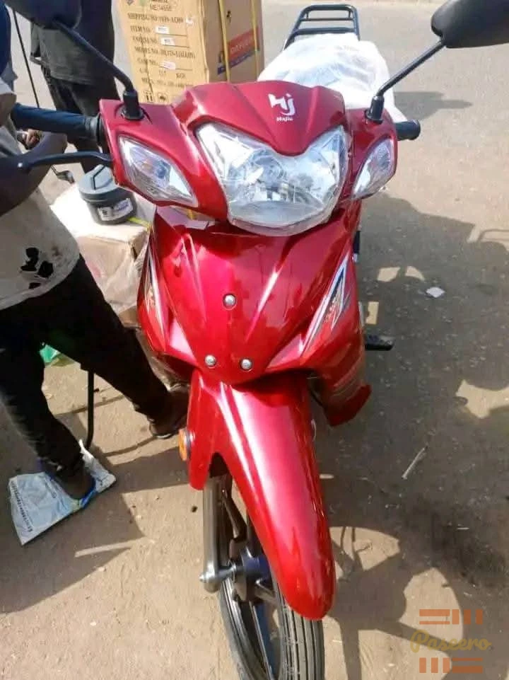 Hajiu UD Lady Bike