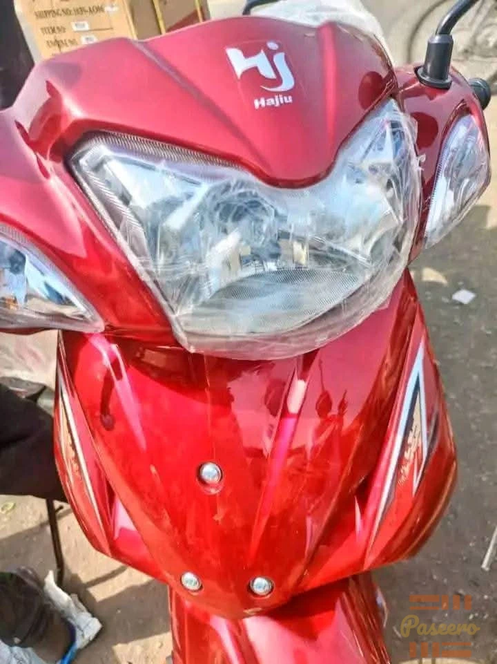 Hajiu UD Lady Bike3
