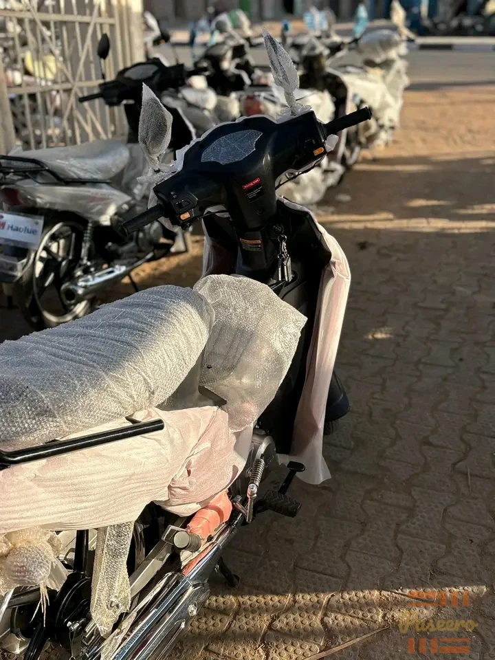 JC AJUO LADY BIKE9