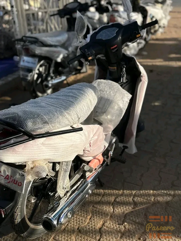 JC AJUO LADY BIKE1
