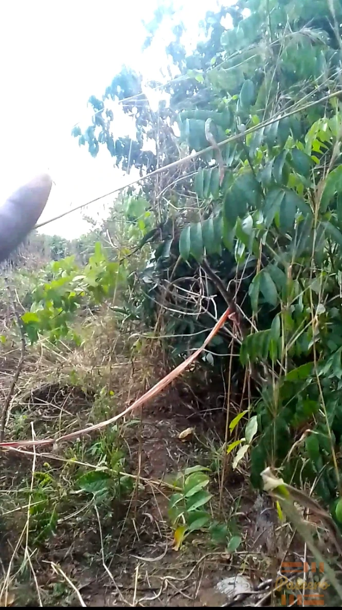 Land property1