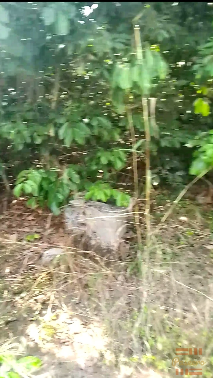 Land property2