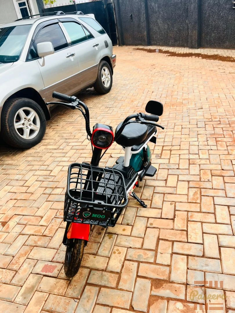 ELECTRIC BIKE2