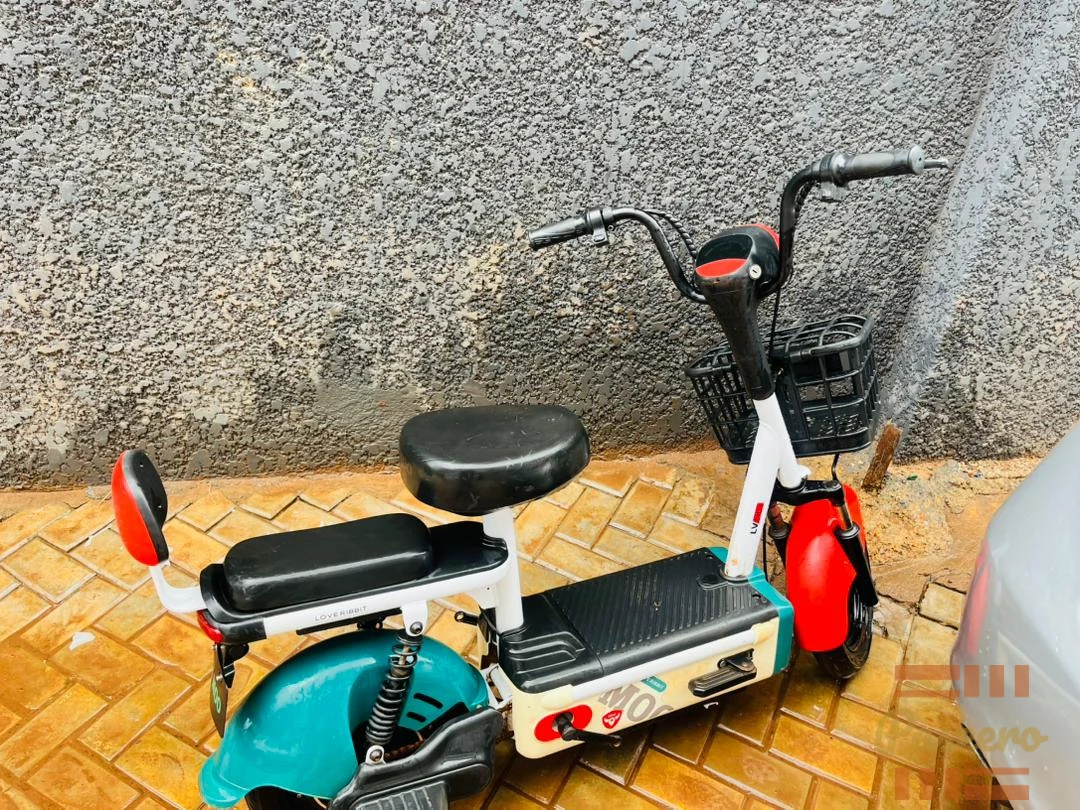 ELECTRIC BIKE1