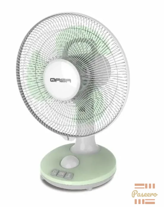 Qasa 12 inches Rechargeable table fan2