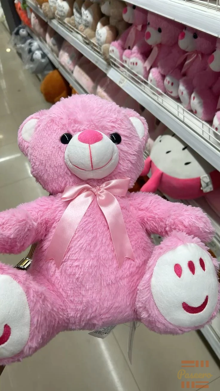 Beautiful teddy bear in an affordable price1