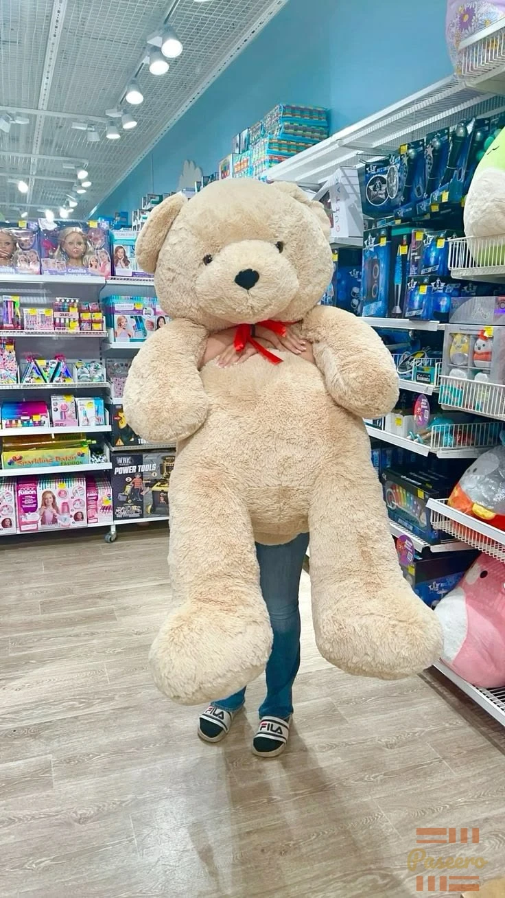 Teddy Bear