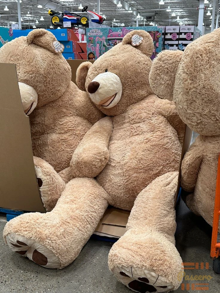 Teddy Bear1