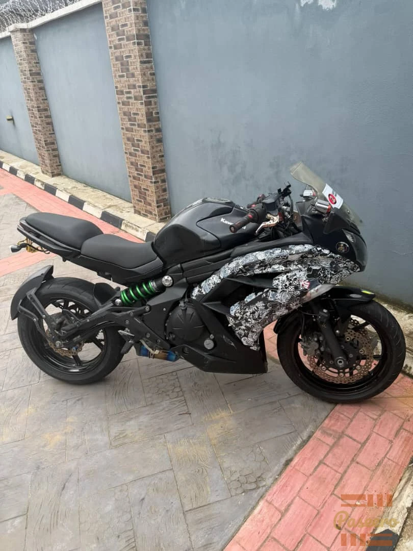 Kawasaki ninja power bike1