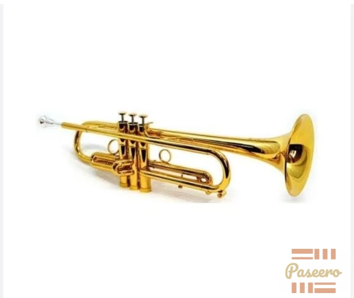 Gold Bb Trumpet - Beginner Brass Trumpet + Case1