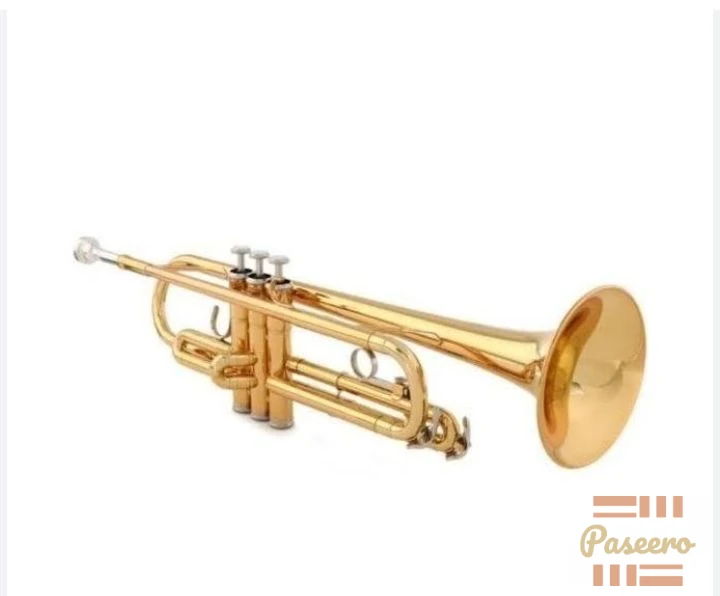 Gold Bb Trumpet - Beginner Brass Trumpet + Case2