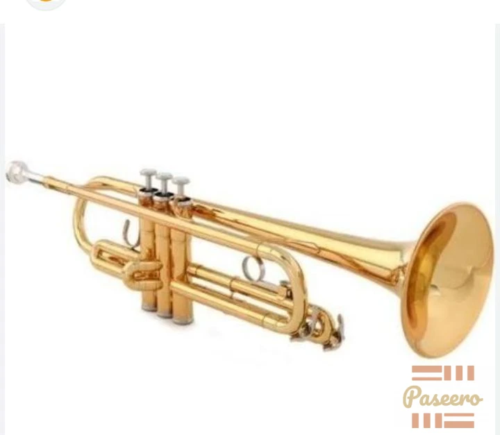 Gold Bb Trumpet - Beginner Brass Trumpet + Case