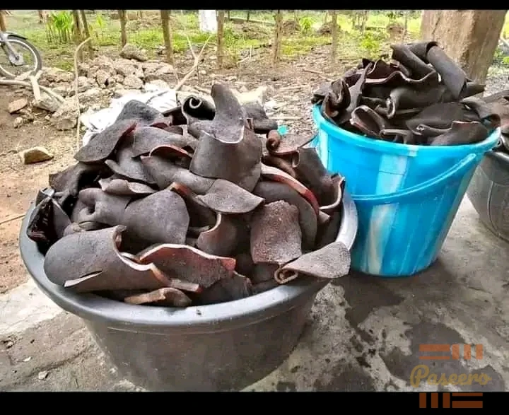 25 pieces Dried ponmo