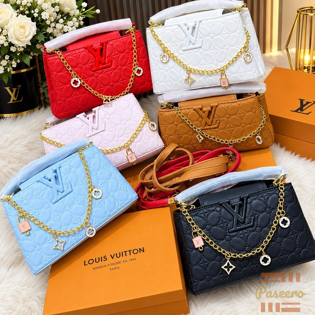 Luis Vuitton bag1