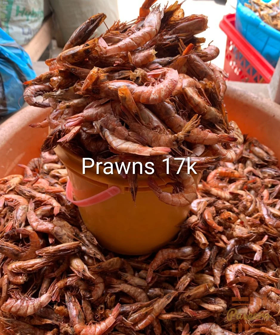 Premium Dry Prawns– Clean & Flavorful2