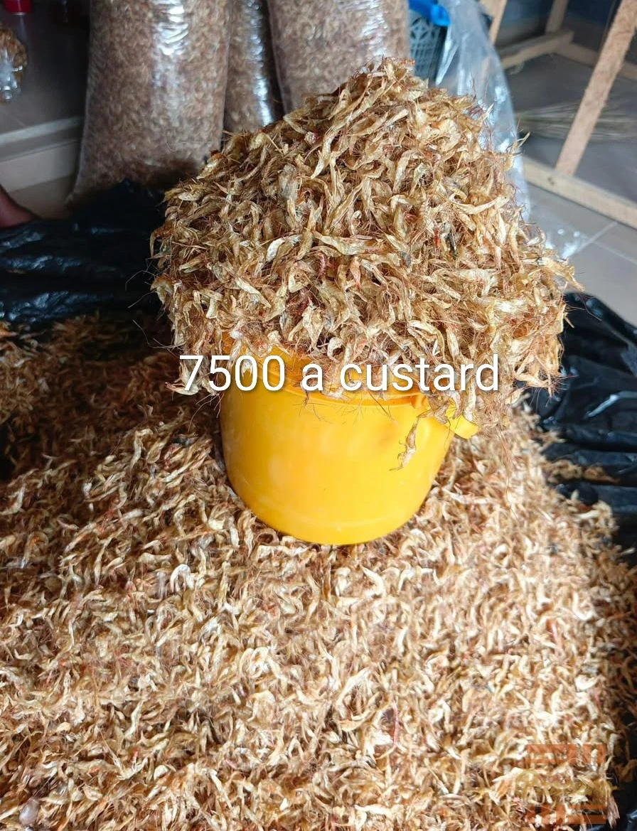 Clean Dry Crayfish – Custard Paint Bucket Size2
