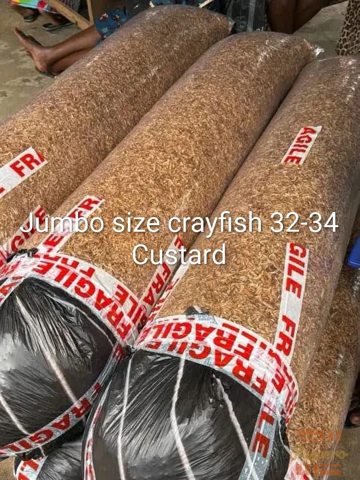 Jumbo Size Crayfish Bag (32-34 Custard Equivalent) – Wholesale Deal1